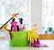 Household Goods